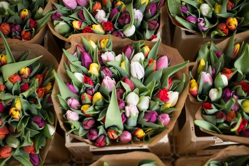 Ramos de tulipanes de colores en el taller