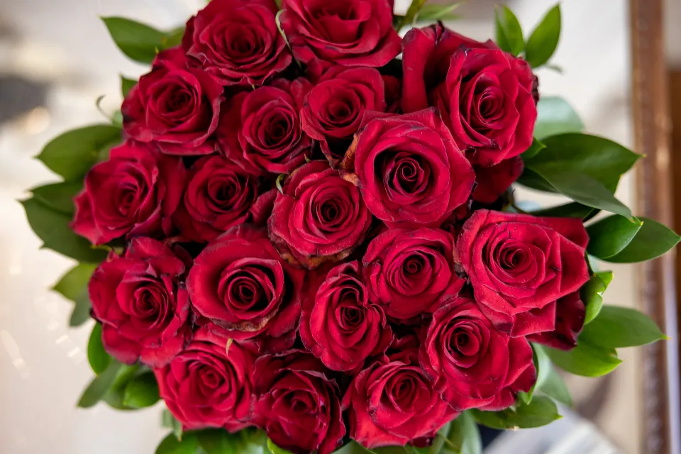 Ramo de 24 rosas rojas
