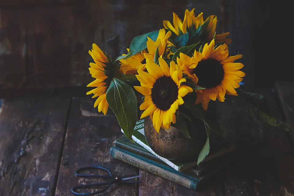 Ramo de girasoles