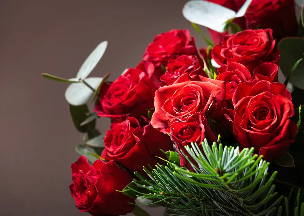 Rosas rojas con eucalipto
