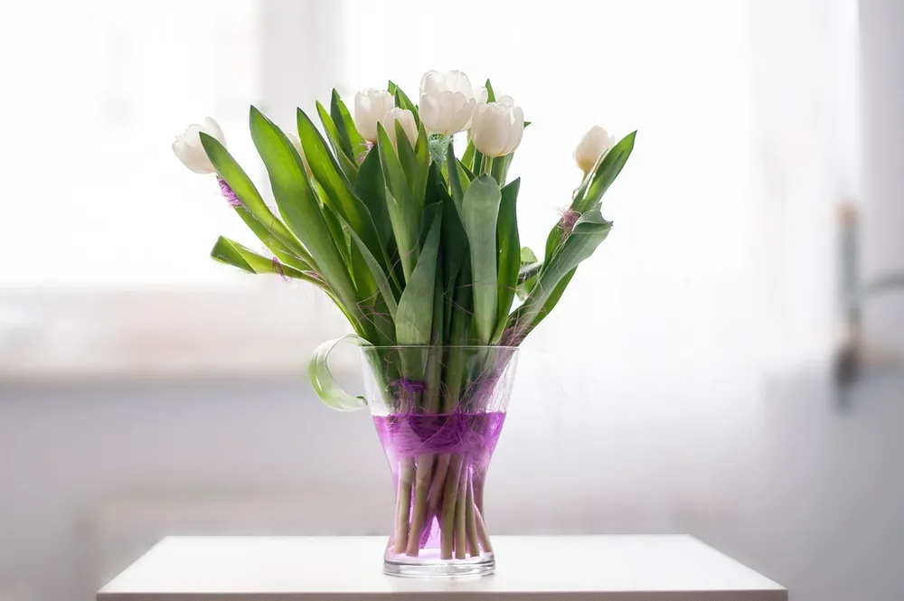 Tulipanes blancos en florero